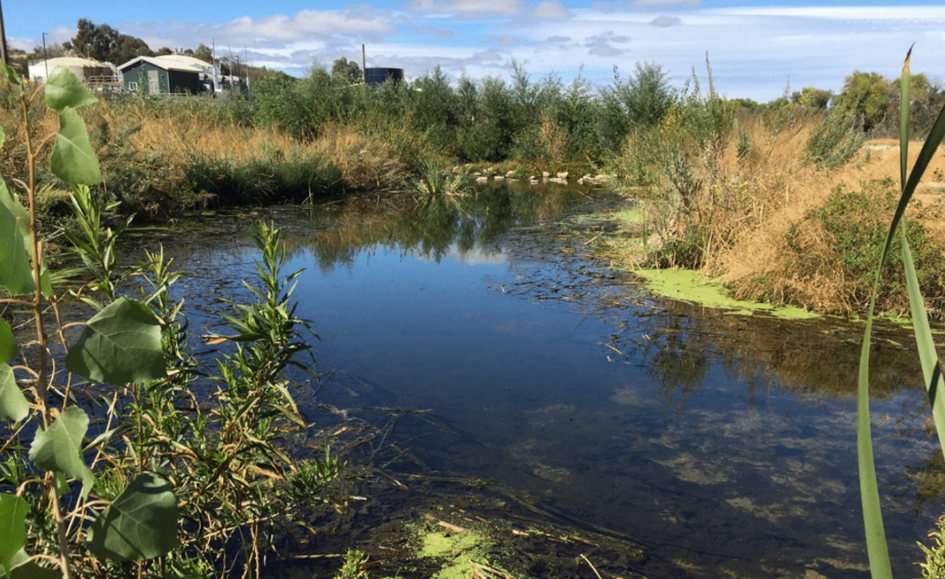 Real-time THM Data Optimizes Wastewater Treatment in Paso Robles