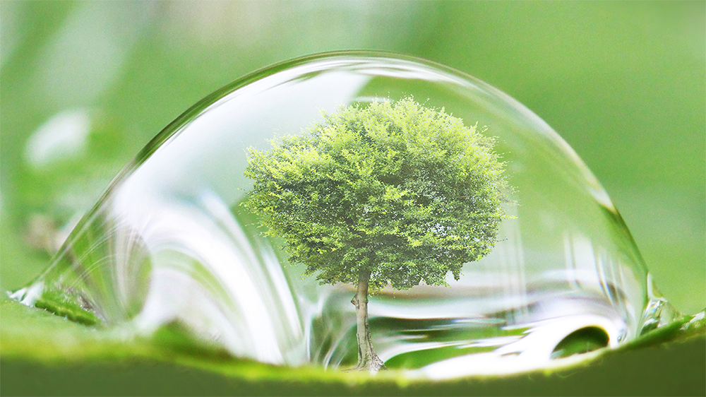 SafeGuard™ H2O In-situ Reagent Generation Technology