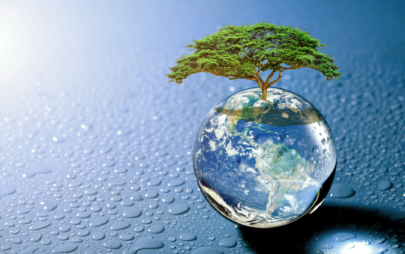 THM-100™ Online THM Monitor