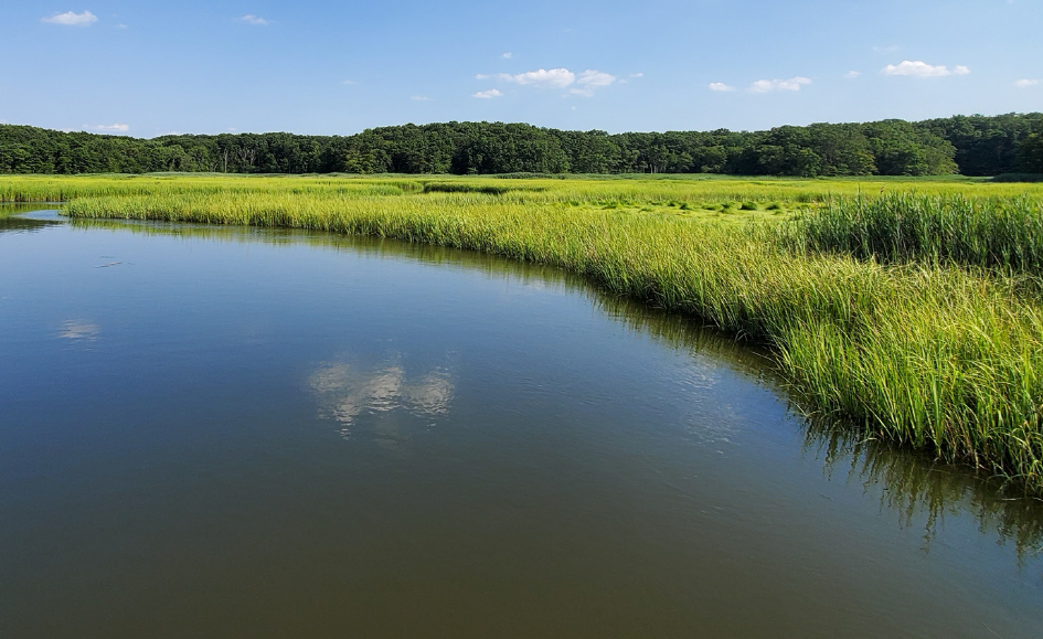 Online THM Monitoring Helps New Jersey Water Authority Achieve DBP Compliance