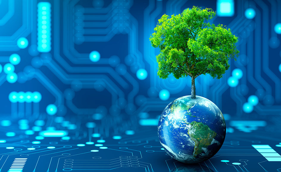 Outlook 2024: Building a Sustainable Future Through Radical Innovation
